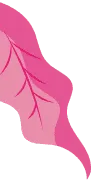 Leaf decoration
